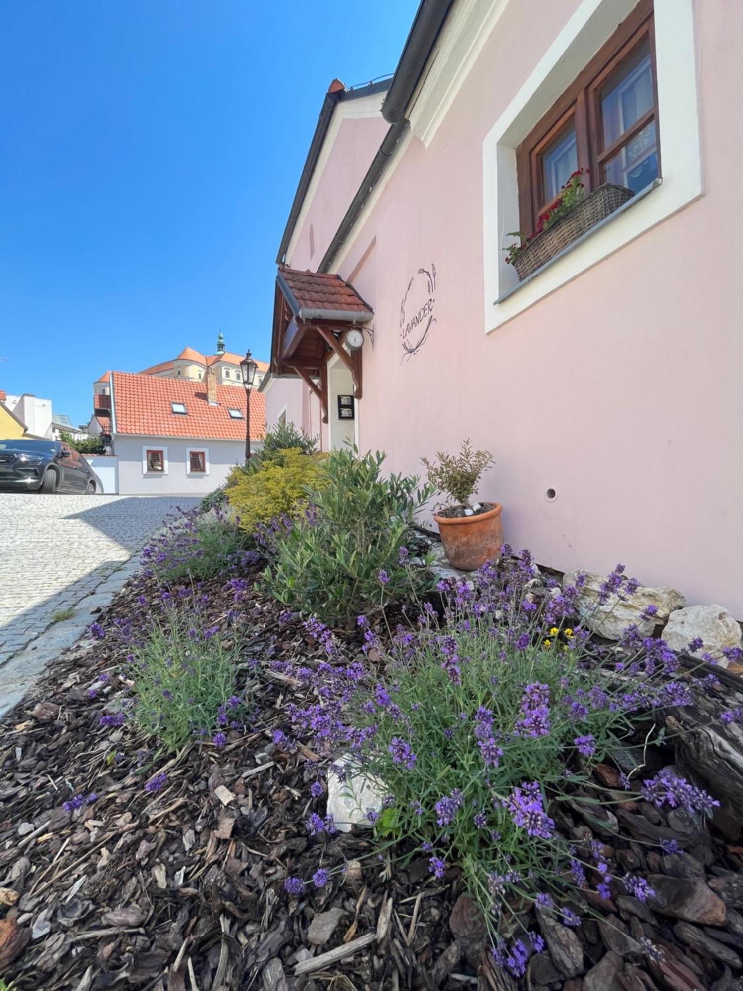 Apartmany Lavander Mikulov Exteriör bild